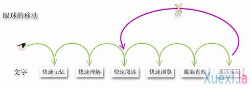 消除眼跳旧习惯，快速阅读你也能！  —— 精英特速读记忆训练网